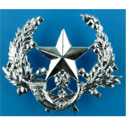 Cameronians (Scottish Rifles)   Anodised Staybrite army cap badge