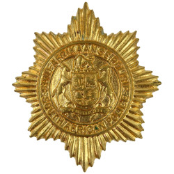 South African Police Collar Badge (For Non-Whites) Solid Centre  Brass Overseas Police, Prison or Corrections insignia